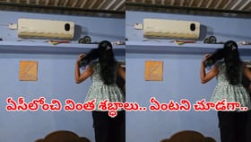 ఏసీ ఆన్‌ చేసిన వెంటనే ఏవో వింత శబ్ధాలు.. ఏంటని పైకి ఎక్కి చూడగా..