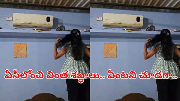 Viral Video: ఏసీ ఆన్ చేసిన వెంటనే ఏవో వింత శబ్ధాలు.. ఏంటని పైకి ఎక్కి చూడగా..