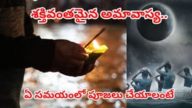 అధికమాసంలో వచ్చే అరుదైన ఆదివార అమావాస్య.. ఈ పూజలు తిరుగుండదు..
