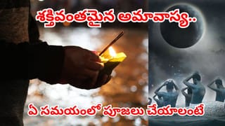 సకల దరిద్రాలను పోగొట్టే అరుదైన అమావాస్య.. ఆదివారం ఈ సమయంలో పూజలు చేస్తే తిరుగుండదు..