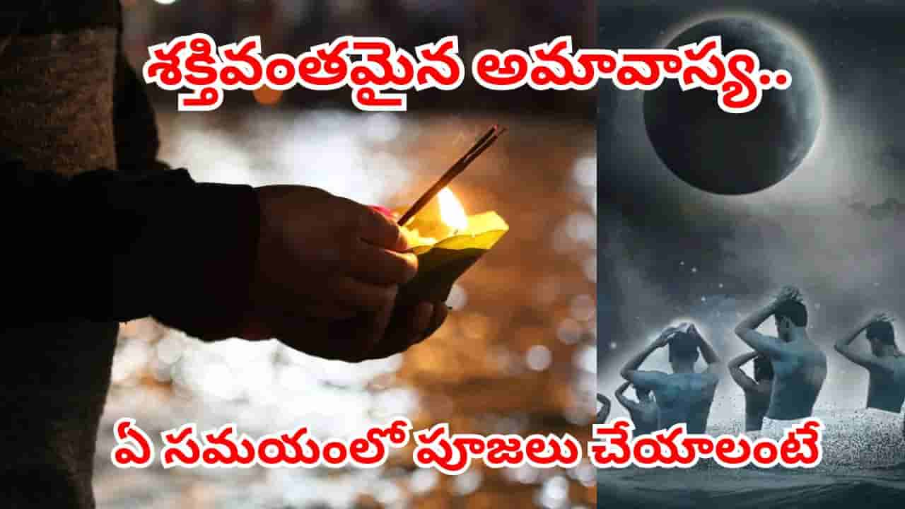 సకల దరిద్రాలను పోగొట్టే అరుదైన అమావాస్య.. ఆదివారం ఈ సమయంలో పూజలు చేస్తే తిరుగుండదు..