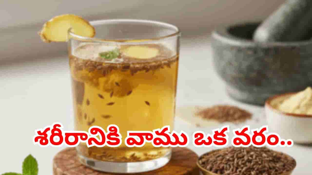 రోజూ ఉదయాన్నే వాము నీటిని తాగితే ఏమౌతుందో తెలుసా..? ఈ మార్పును అస్సలు ఊహించలేరు..