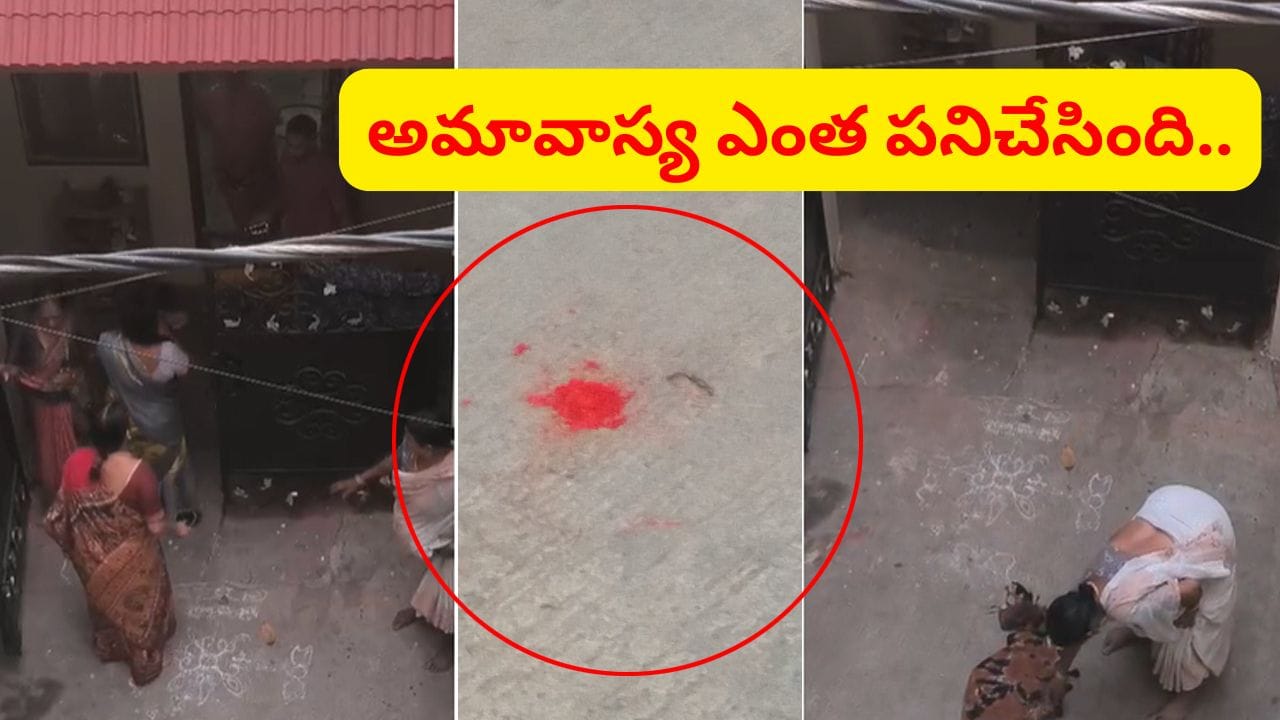 Hyderabad: అమావాస్య ఎంత పనిచేసింది.. తెల్లారి ముగ్గు చూసి పొట్టుపొట్టు కొట్టుకున్నారు.. ఇదిగో వీడియో