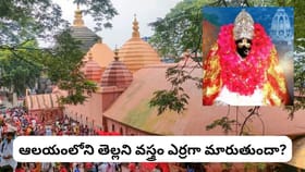 కామాఖ్య ఆలయం 4 రోజులు ఎందుకు మూసేస్తారు? అంబుబాచి జాతర వెనుక..