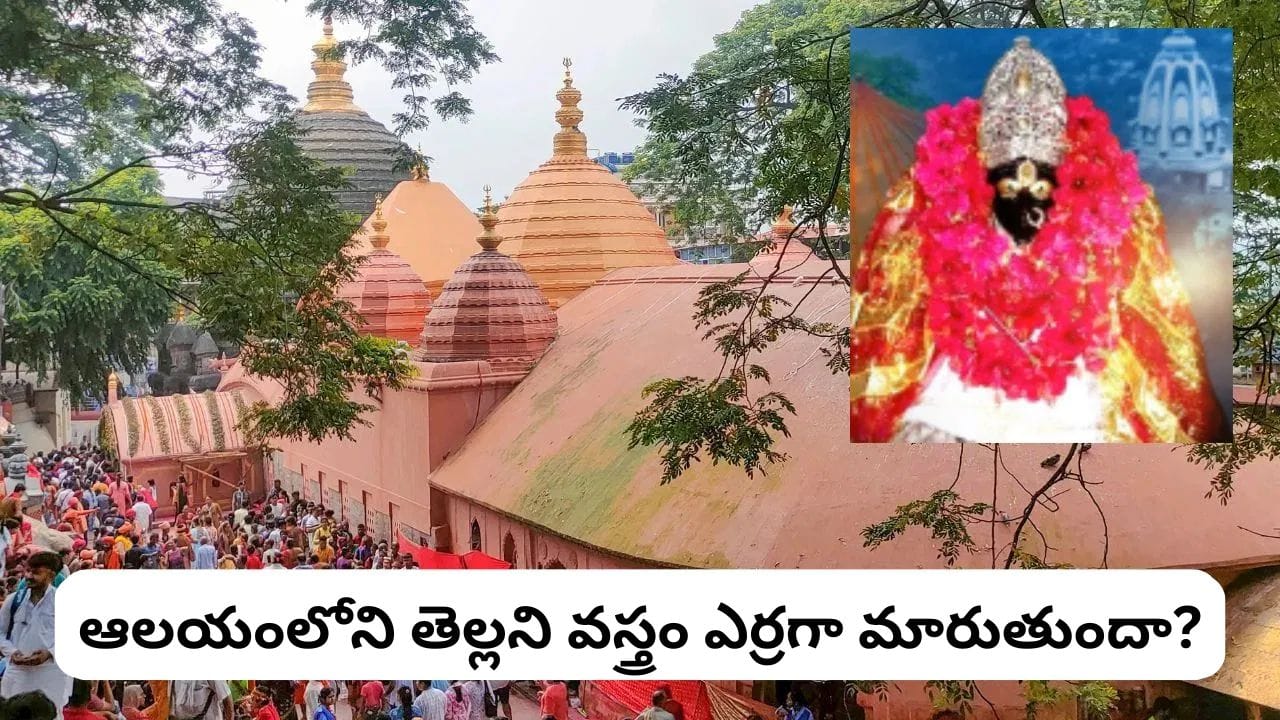 కామాఖ్య ఆలయం 4 రోజులు ఎందుకు మూసేస్తారు? అంబుబాచి జాతర వెనుక అసలు కారణం ఇదే!