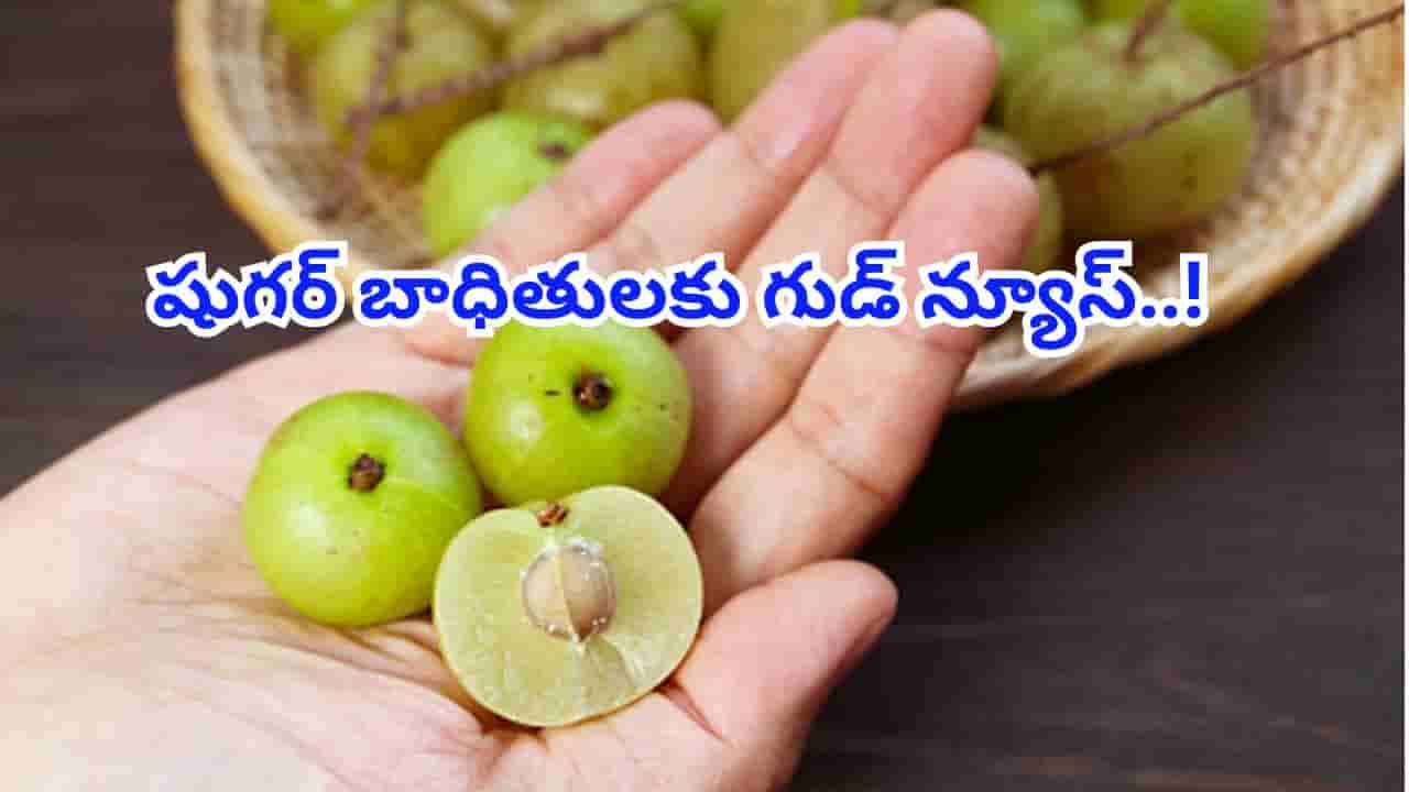 షుగర్ బాధితులకు గుడ్ న్యూస్.. భోజనానికి ముందు ఒక ఉసిరికాయ తింటే ఏం జరుగుతుందో తెలుసా!
