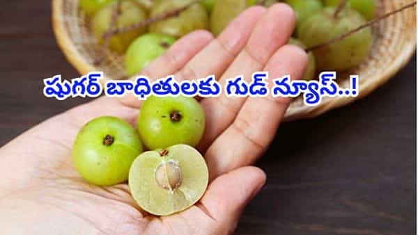 షుగర్ బాధితులకు గుడ్ న్యూస్.. భోజనానికి ముందు ఒక ఉసిరికాయ తింటే ఏం జరుగుతుందో తెలుసా!