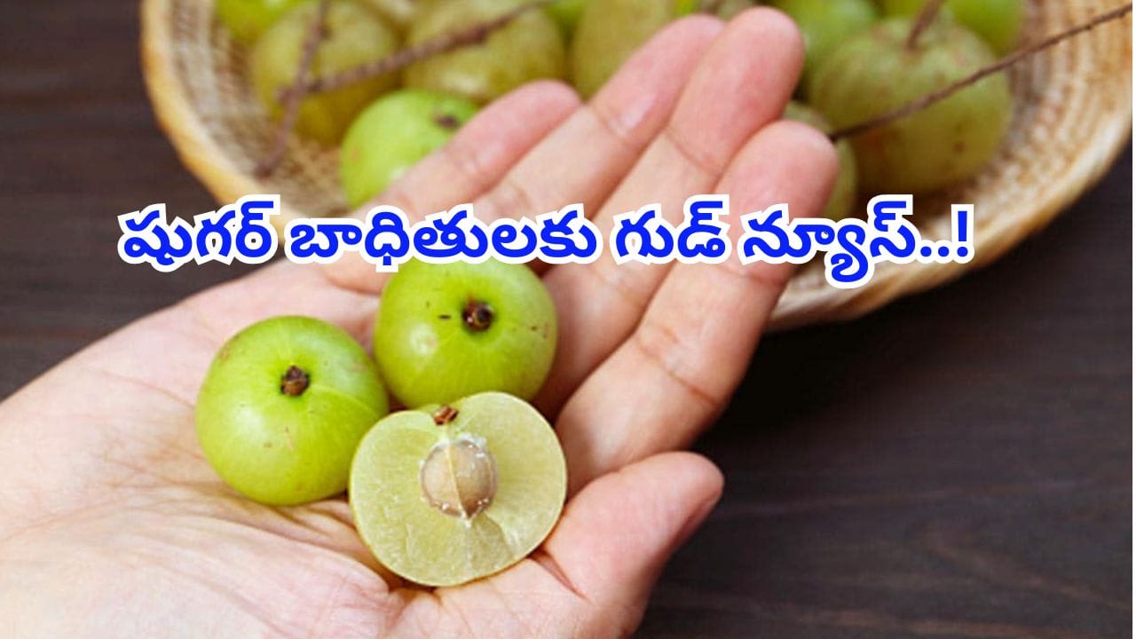 షుగర్ బాధితులకు గుడ్ న్యూస్.. భోజనానికి ముందు ఒక ఉసిరికాయ తింటే ఏం జరుగుతుందో తెలుసా!