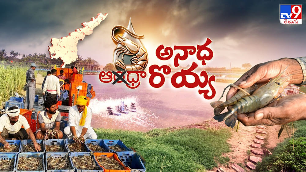 ప్రొడక్షన్ ఫుల్.. మార్కెట్టు నిల్..! అష్టకష్టాల్లో ఆక్వా కల్చర్..
