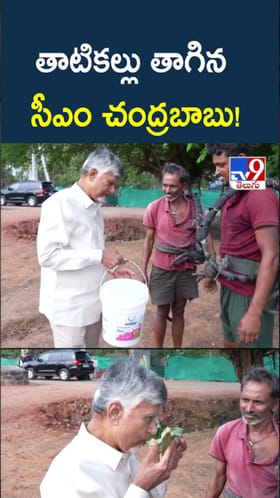 తాటికల్లు తాగిన ఏపీ సీఎం చంద్రబాబు..ఇదిగో వీడియో
