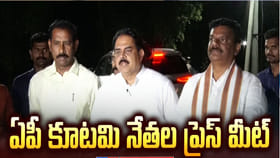 టీడీపీకి 3, జనసేనకు 1 రాజ్యసభ సీటు ఖరారు: