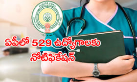 రాత పరీక్ష లేకుండా ఉద్యోగం పొందే ఛాన్స్.. APలో 529 ఉద్యోగాలు