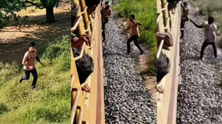 Viral Video: మామిడి పండు కోసం ఆశపడితే.. ఒళ్లంతా వాతలే! చూస్తే నవ్వు ఆపుకోలేరు!