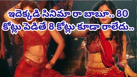 ఇదెక్కడి సినిమా రా బాబూ.. 80 కోట్లు పెడితే 8 కోట్లు కూడా రాలేదు..