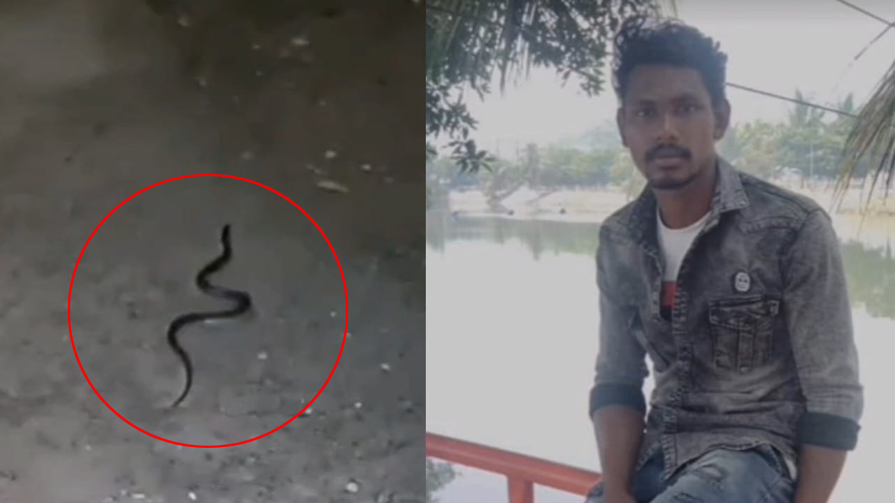 కింగ్ కోబ్రా పిల్లకు కూడా ఇంత పవరుంటుందా..? మన్యం జిల్లాలో ఏం జరిగిందంటే..?