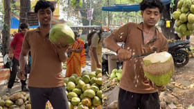 ఇది కొబ్బరికాయా.. లేక మినీ వాటర్ ట్యాంకా?