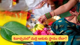 మర్రి ఆకులను పూజలో వాడుతున్నారా? ఈ దేవతలకు సమర్పిస్తే శుభం..