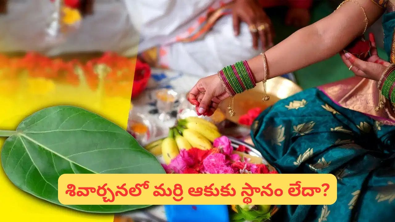 మర్రి ఆకులను పూజలో వాడుతున్నారా? ఈ దేవతలకు సమర్పిస్తే శుభం.. వీరికి చేస్తే దోషమట!