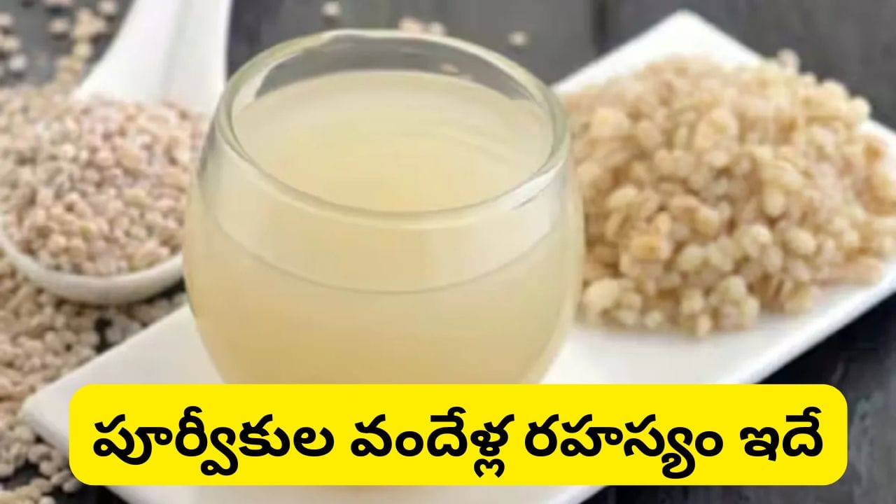 గరిబోళ్ల అమృతం.. శరీరంలో వేడిని తగ్గించి శక్తిని ఇచ్చే పాతకాలం నాటి డ్రింక్.. రోజూ ఒక్క గ్లాస్ తాగితే..