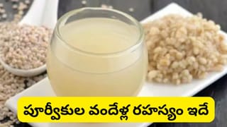 Chicken Curry Recipe: నోరూరించే విలేజ్ స్టైల్ చికెన్ కర్రీ.. తిన్నాక వావ్ అనాల్సిందే..!