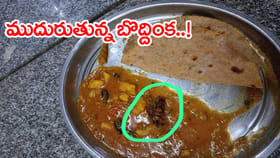 బాసర IIITలో విడ్డూరం.. బొద్దింకపై ప్రశ్నిస్తే ఫోన్లు నిషేధించారు