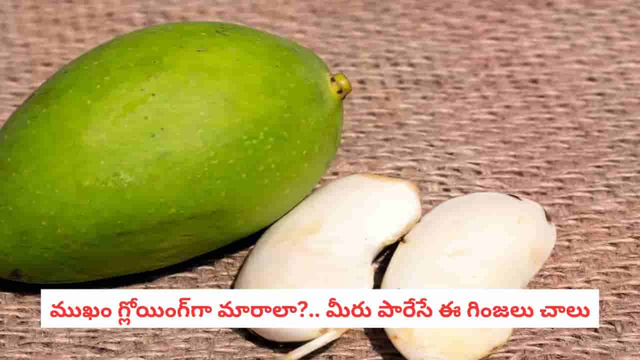 Mango Seed Benefits: పార్లర్కి వెళ్లి వేలాది రూపాయలు తగలేయకండి.. మామిడి టెంకతో సూపర్ బ్యూటీ హ్యాక్స్!