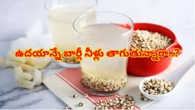 ఉదయాన్నే బార్లీ నీళ్లు తాగితే శరీరంలో ఏం జరుగుతుందో తెలుసా?