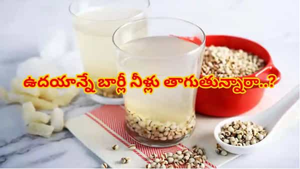 ఉదయాన్నే బార్లీ నీళ్లు తాగితే శరీరంలో ఏం జరుగుతుందో తెలుసా? అద్భుతమైన ఆరోగ్య ప్రయోజనాలు!
