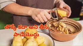 తొక్కలో ఏముందని తీసి పడేస్తున్నారా?.. ప్రయోజనాలు తెలిస్తే..