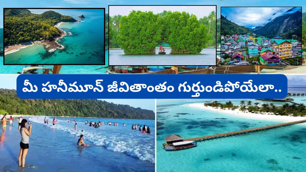 Best Honeymoon Places India: వివాహం అనంతరం జీవిత భాగస్వామితో కలిసి గడిపే తొలి మధుర యాత్రే హనీమూన్. ఈ ప్రత్యేక ప్రయాణాన్ని మరపురాని అనుభూతిగా మార్చేందుకు సరైన గమ్యస్థానాన్ని ఎంచుకోవడం ఎంతో ముఖ్యం. ముఖ్యంగా జూలై నెలలో వర్షాల సోయగం, పచ్చని ప్రకృతి అందాలు, చల్లని వాతావరణం కలిసి కొన్ని ప్రాంతాలను మరింత రొమాంటిక్గా మారుస్తాయి. కొండల మధ్య ప్రశాంతతను ఆస్వాదించాలనుకున్నా, సరస్సుల ఒడ్డున ప్రేమ క్షణాలను గడపాలనుకున్నా, సముద్రతీరంలో ఏకాంతాన్ని కోరుకున్నా భారతదేశంలో ఎన్నో అద్భుతమైన ఎంపికలు ఉన్నాయి. ఈ జూలైలో హనీమూన్ ప్లాన్ చేస్తున్న జంటల కోసం భారతదేశంలోని 6 బెస్ట్ రొమాంటిక్ డెస్టినేషన్లు ఇవే.