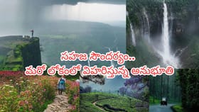 వర్షాకాలంలో తప్పక వెళ్లాల్సిన భారత్‌లోని 5 అద్భుతమైన ప్రదేశాలు..