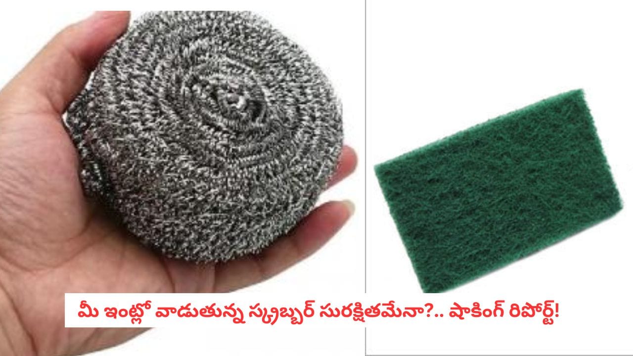  Kitchen Secrets: స్టీల్, ప్లాస్టిక్, స్పాంజ్ స్క్రబ్బర్లలో ఏది బెస్ట్?.. చాలా మంది చేసే ఆ ఒక్క పొరపాటు వల్ల రోగాల పాలవుతున్న నమ్మలేని నిజాలివే!