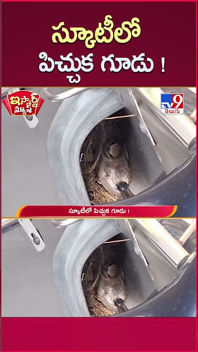 ఈ విచిత్రం చూశారా..? స్కూటీలో పిచ్చుక గూడు..!