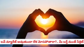 లవ్ మ్యారేజ్ అవుతుందా లేక మోసపోతారా?.. మీ బర్త్ మంత్ సీక్రెట్