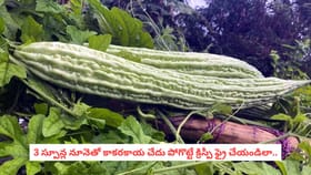 3 స్పూన్ల నూనెతో కాకరకాయ చేదు పోగొట్టే క్రిస్పీ ఫ్రై చేయండిలా..