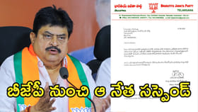 బీజేపీ నుంచి ఆ నేత సస్పెండ్