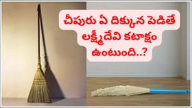 చీపురు ఏ దిక్కున పెడితే లక్ష్మీదేవి కటాక్షం ఉంటుంది..?