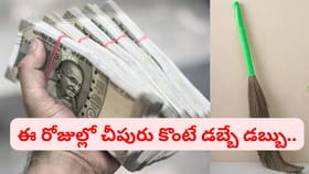 పురును ఏ రోజు కొనాలి.. ఇంట్లో ఏ దిక్కున ఉంచాలి..?