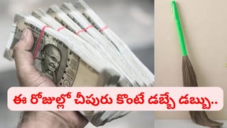 ఈ రోజుల్లో చీపురు కొంటే లక్ష్మీదేవి మీ ఇంటికి వచ్చినట్లే.. దరిద్రం పోయి డబ్బులు రావాలంటే ఇలా చేయండి..
