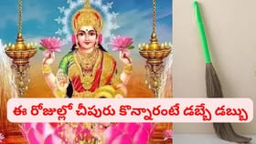 పురును ఏ రోజు కొనాలి.. ఇంట్లో ఏ దిక్కున ఉంచాలి..?
