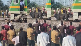 రైలు కింద పడ్డ ఎద్దు.. ప్రాణాలు పణంగా పెట్టి కాపాడిన లోకో పైలట్!