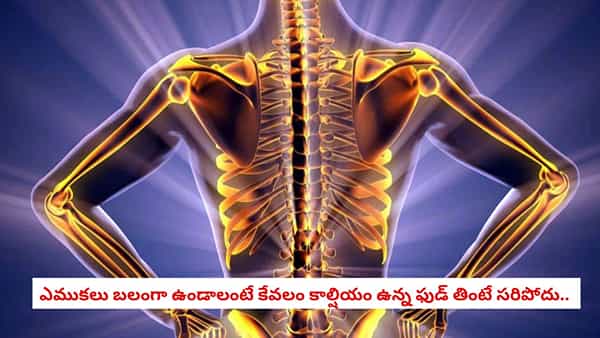 Bone Health: కీళ్ల నొప్పులు, మోకాళ్ల నొప్పులతో సతమతమవుతున్నారా? ఎముకలను వజ్రంలా మార్చే కాల్షియం సీక్రెట్స్!