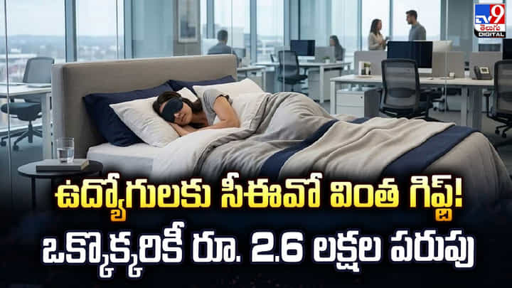 ఉద్యోగులకు సీఈవో వింత గిఫ్ట్! ఒక్కొక్కరికీ రూ. 2.6 లక్షల పరుపు ఉద్యోగులకు సీఈవో వింత గిఫ్ట్! ఒక్కొక్కరికీ రూ. 2.6 లక్షల పరుపు