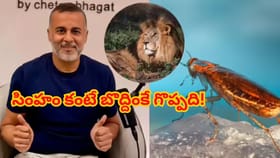 సింహంలా కాదు.. బొద్దింకలా ఉండండి! జీవితంలో గెలవాలంటే.. చేతన్ భగత్