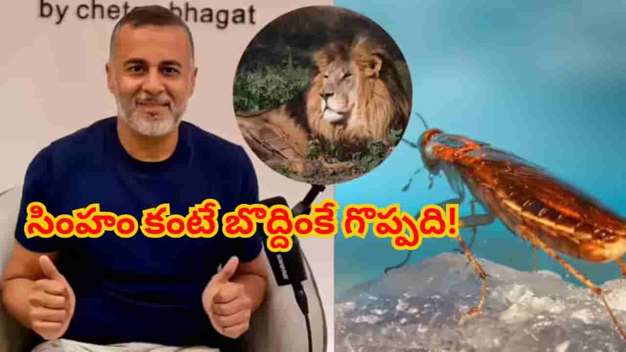 సింహంలా కాదు.. బొద్దింకలా ఉండండి..చేతన్ భగత్ చెప్పిన సక్సెస్ ఫార్ములా!