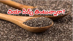 చియా సీడ్స్ తింటున్నారా? రెట్టింపు లాభాల కోసం ఎలా తీసుకోవాలంటే