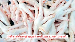 Chicken Feet: ఆ దేశాల్లో చికెన్ ముక్కల కంటే కోడి కాళ్లకే డిమాండ్ ఎక్కువ.. కిలో ధర ఎంతో తెలిస్తే షాక్ అవుతారు!