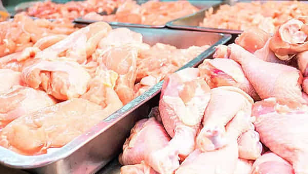 Chicken Prices: నాన్ వెజ్ ప్రియులకు పిడుగులాంటి వార్త.. భారీగా పెరిగిన చికెన్, గుడ్ల ధరలు.. ఎంతంటే..?