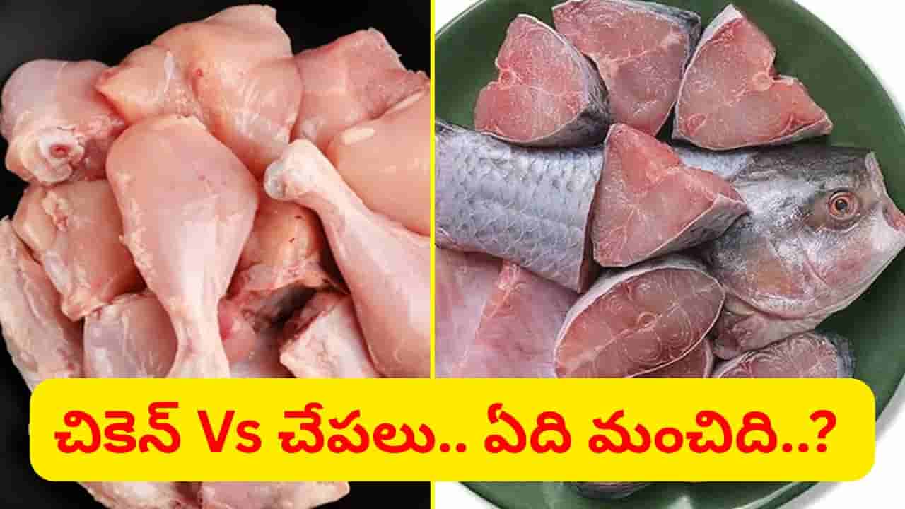 చికెన్ vs చేపలు.. అద్భుతమైన ఫుడ్ ఏంటో తెలుసా..? అందరూ అనుకునేది మాత్రం కాదు..