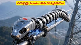 పవర్ లైన్లపై పాకుతూ తనిఖీ చేసే స్నేక్ రోబోలు
